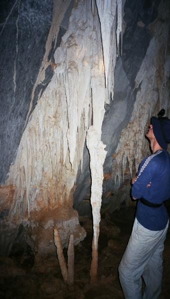 Thumbnail of photo from this article